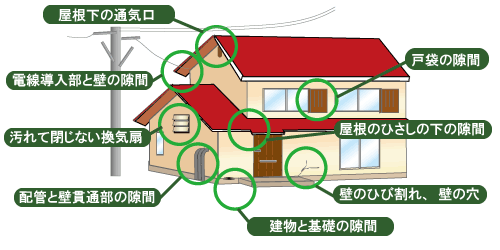 ネズミ侵入路