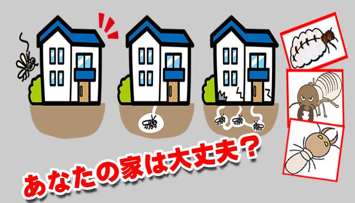 シロアリ駆除　TOPページ用画像　あなたの家は大丈夫？