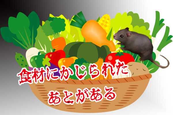 食材にかじられたあと