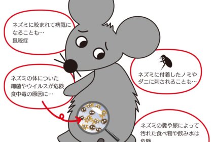 ネズミは病気や寄生虫の運び屋