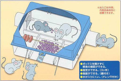 ネズミ駆除　殺鼠剤（毒餌）ボックスの中のイメージ図