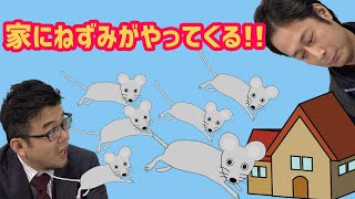 家にねずみがやってくる　動画サムネイル