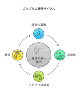 ゴキブリ繁殖サイクル