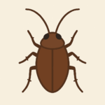 ゴキブリのイラスト