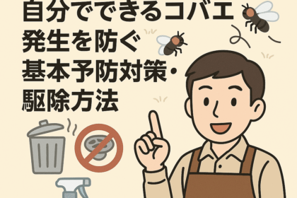 飲食店オーナー向けのコバエ対策・駆除方法のイラスト