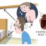 トコジラミを探している男性のイラスト