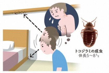 トコジラミを探している男性のイラスト