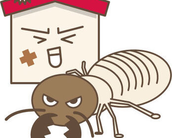 羽アリの時期が来る前に!自分自身でできる主なシロアリ対策のチェック項目