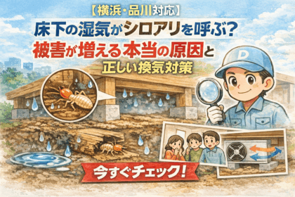 床下の換気がシロアリを呼ぶ？のイラスト