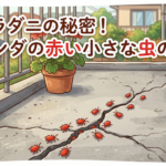 タカラダニの生態