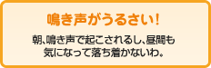 鳴き声がうるさい