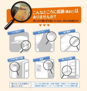 こんな場所にトコジラミは潜んでいます