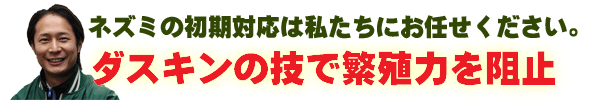 ネズミ繁殖力ストップ